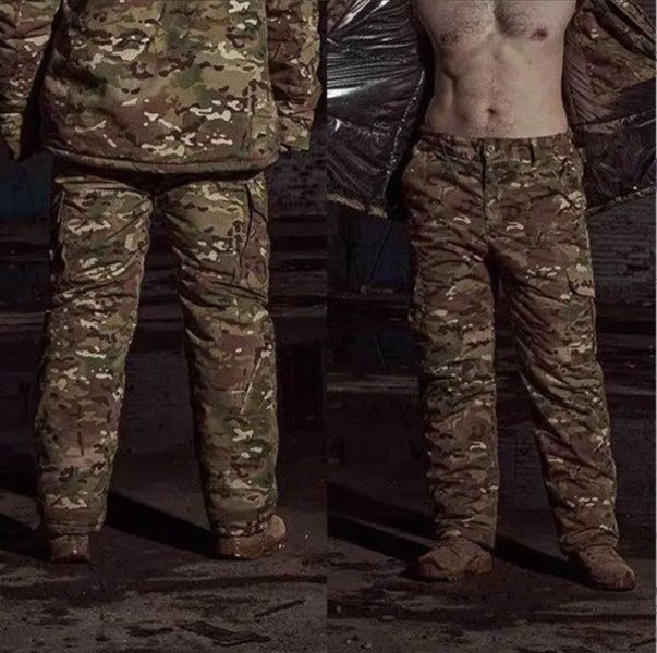 Тактичні (бойові) зимові штани Hot Reflection Cold Cotton (L) ARWP03 фото