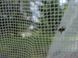 Сітка москітна з підставкоюта тримачем mosquito_net фото 5